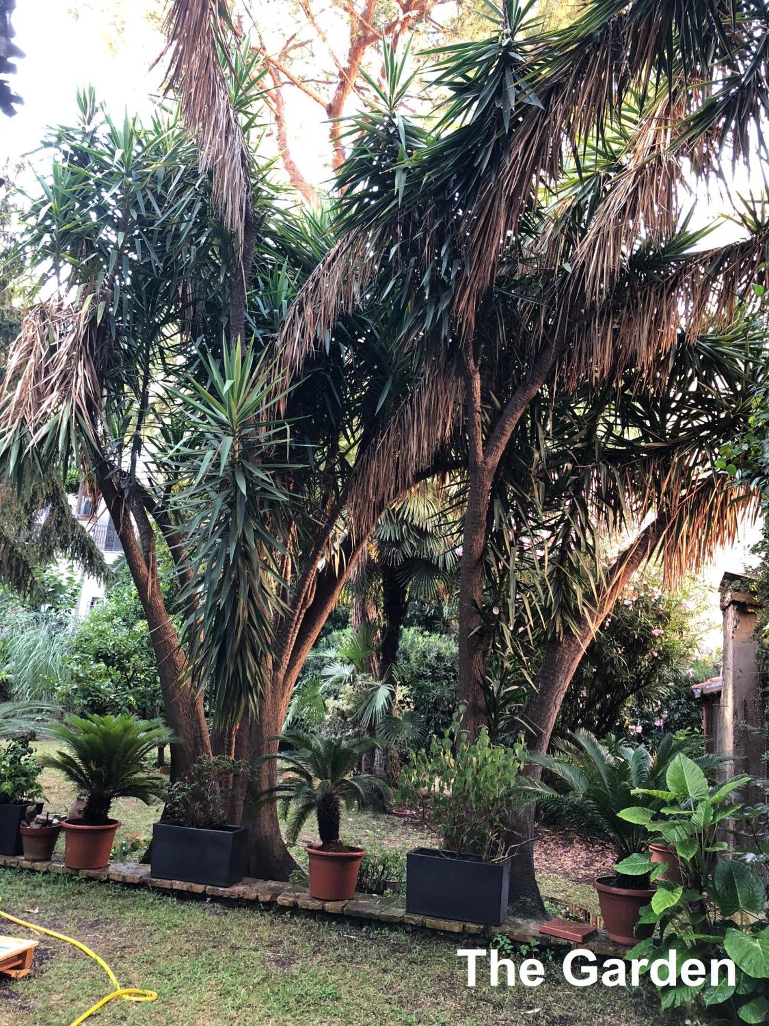 Casa de hóspedes Le Tre M - *